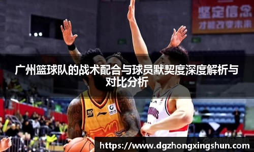 广州篮球队的战术配合与球员默契度深度解析与对比分析